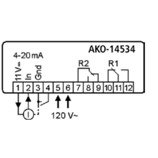 Input controllers 4/20mA Range from -999 to +999. 2 relays, panel mounting "AKO"