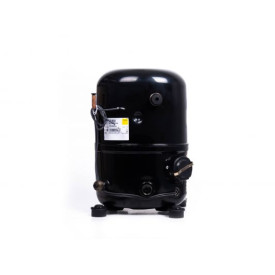 COMPRESSOR TAG2522Z, R404a, LBP, TECUMSEH 