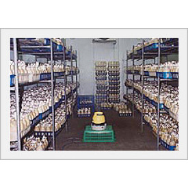HUMIDIFIER ACR – 15